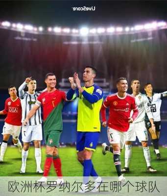 欧洲杯罗纳尔多在哪个球队-第1张图片-楠锦体育网