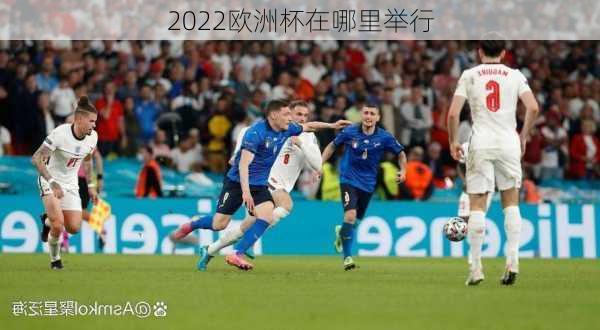 2022欧洲杯在哪里举行-第3张图片-楠锦体育网