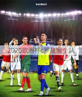 2020欧洲杯c罗是哪个队-第3张图片-楠锦体育网