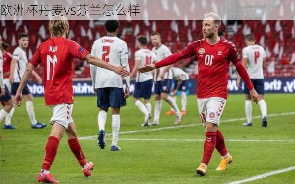 欧洲杯丹麦vs芬兰怎么样-第2张图片-楠锦体育网