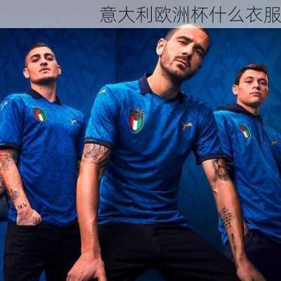 意大利欧洲杯什么衣服-第3张图片-楠锦体育网