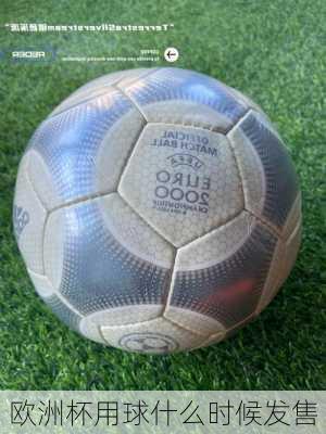欧洲杯用球什么时候发售-第2张图片-楠锦体育网