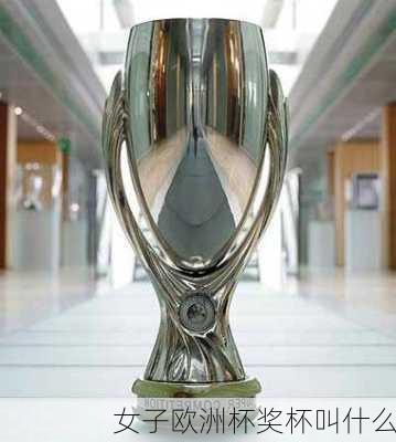 女子欧洲杯奖杯叫什么-第1张图片-楠锦体育网
