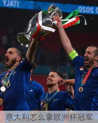 意大利怎么拿欧洲杯冠军-第2张图片-楠锦体育网
