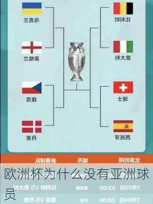 欧洲杯为什么没有亚洲球员-第3张图片-楠锦体育网