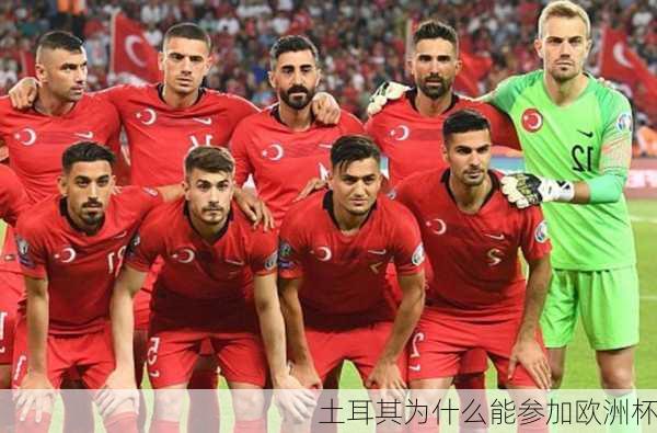 土耳其为什么能参加欧洲杯-第2张图片-楠锦体育网