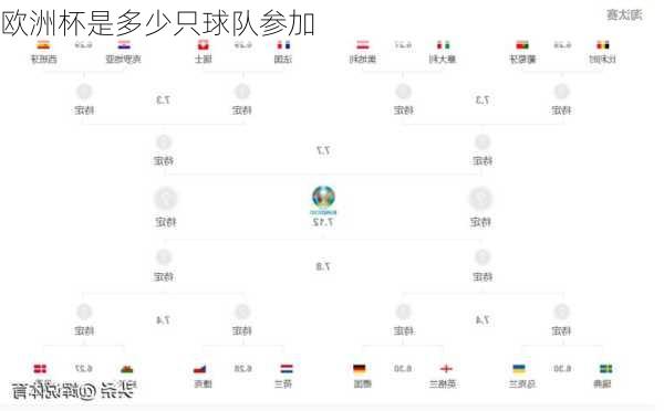 欧洲杯是多少只球队参加-第3张图片-楠锦体育网