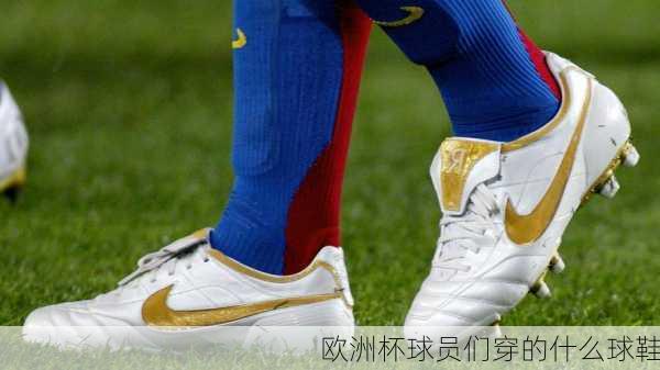 欧洲杯球员们穿的什么球鞋-第1张图片-楠锦体育网