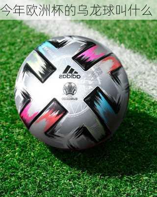 今年欧洲杯的乌龙球叫什么-第2张图片-楠锦体育网