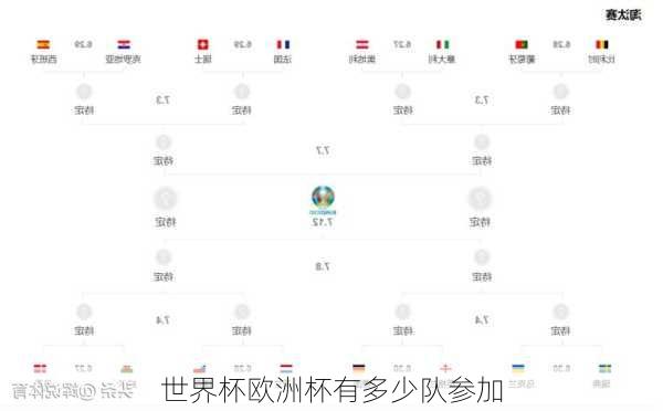世界杯欧洲杯有多少队参加-第3张图片-楠锦体育网