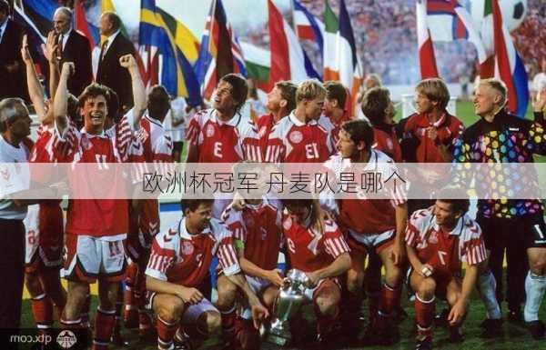 欧洲杯冠军 丹麦队是哪个-第3张图片-楠锦体育网