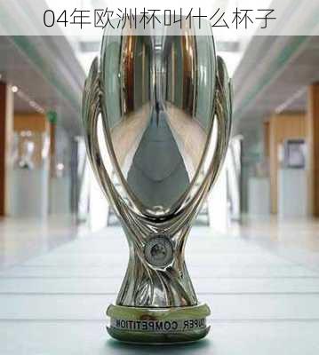04年欧洲杯叫什么杯子-第3张图片-楠锦体育网