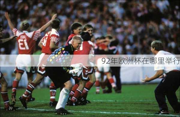 92年欧洲杯在哪里举行-第3张图片-楠锦体育网