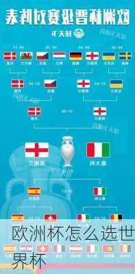 欧洲杯怎么选世界杯-第2张图片-楠锦体育网