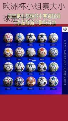 欧洲杯小组赛大小球是什么-第3张图片-楠锦体育网