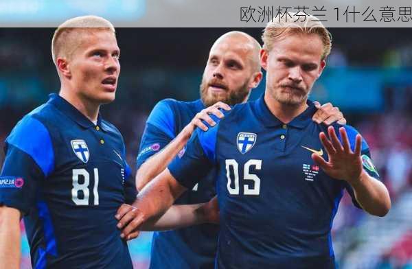 欧洲杯芬兰 1什么意思