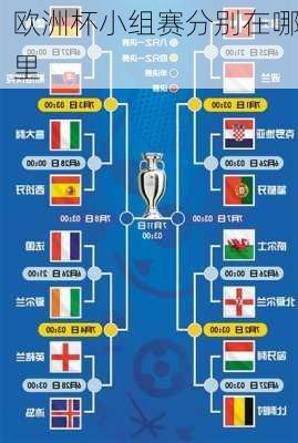 欧洲杯小组赛分别在哪里-第3张图片-楠锦体育网