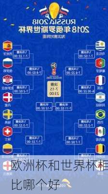 欧洲杯和世界杯相比哪个好-第2张图片-楠锦体育网