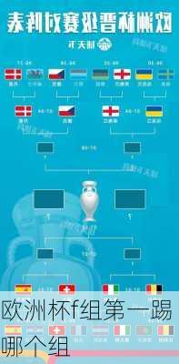 欧洲杯f组第一踢哪个组-第1张图片-楠锦体育网