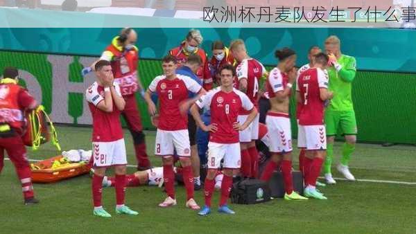 欧洲杯丹麦队发生了什么事