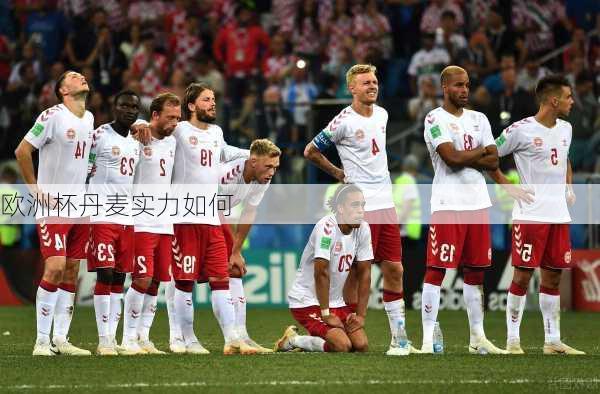 欧洲杯丹麦实力如何