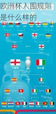欧洲杯入围规则是什么样的