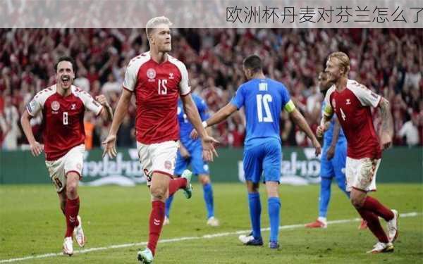 欧洲杯丹麦对芬兰怎么了
