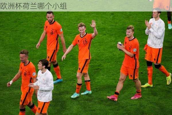 欧洲杯荷兰哪个小组