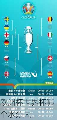 欧洲杯世界杯哪个水分大