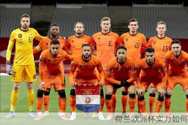荷兰欧洲杯实力如何