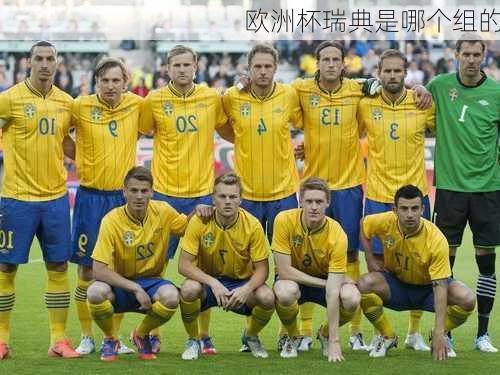 欧洲杯瑞典是哪个组的