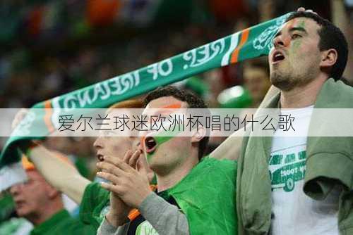 爱尔兰球迷欧洲杯唱的什么歌