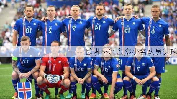 欧洲杯冰岛多少名队员进球