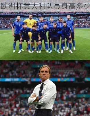 欧洲杯意大利队员身高多少