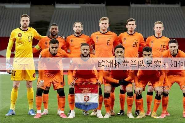 欧洲杯荷兰队员实力如何