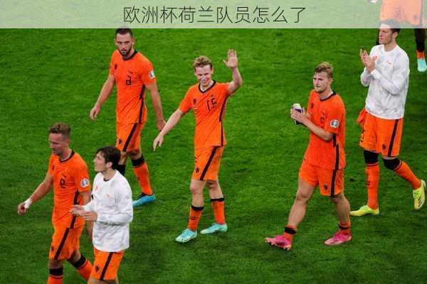 欧洲杯荷兰队员怎么了