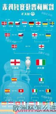 欧洲杯怎么选